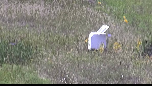 capture-4-23-08-12_14-33-48-89