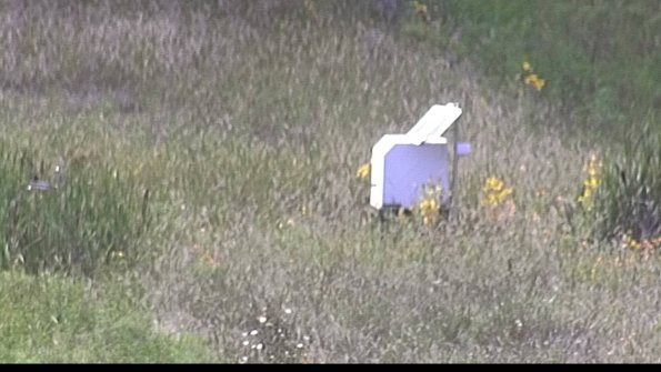 capture-4-23-08-12_14-35-48-38