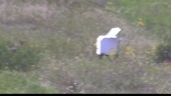 capture-4-23-08-12_14-45-49-01