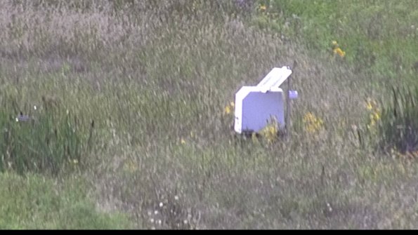 capture-4-23-08-12_15-09-49-12