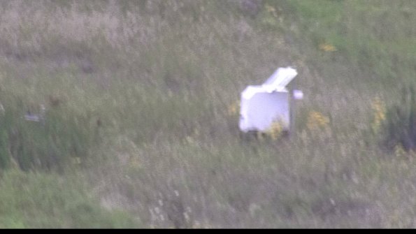 capture-4-23-08-12_15-43-49-24