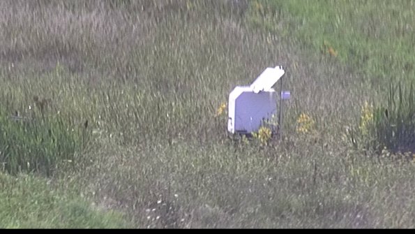 capture-4-23-08-12_16-35-48-87