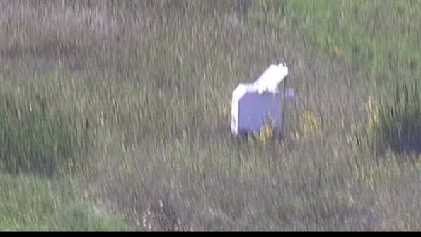 capture-4-23-08-12_16-47-49-09