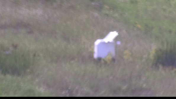 capture-4-23-08-12_17-06-21-51