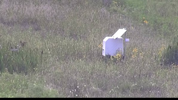 capture-4-23-08-12_17-26-21-68