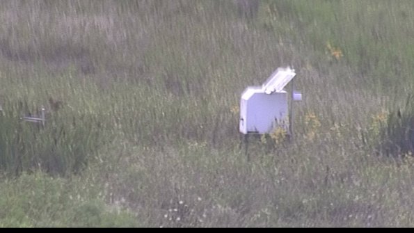 capture-4-23-08-12_17-34-45-56