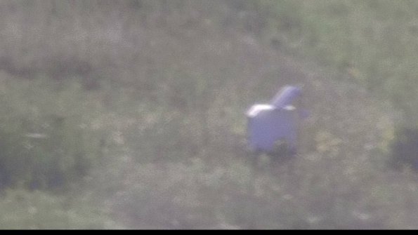 capture-4-23-08-12_18-36-48-59