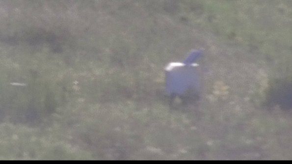 capture-4-23-08-12_18-46-48-73