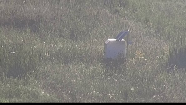 capture-4-23-08-12_19-29-47-85