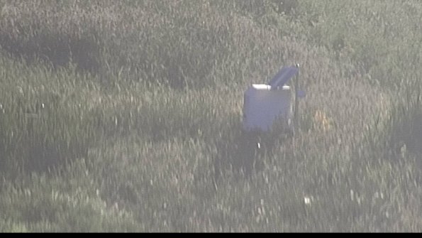 capture-4-23-08-12_19-55-46-65