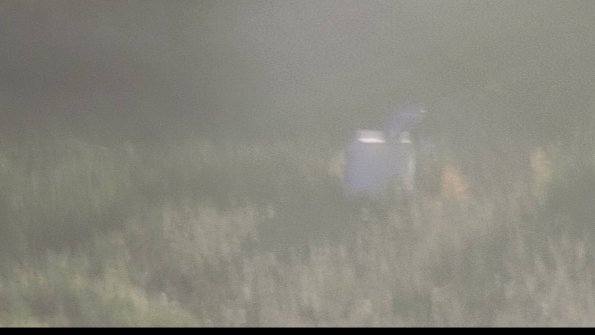 capture-4-23-08-12_20-11-46-92