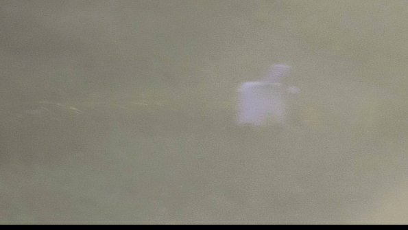 capture-4-23-08-12_20-19-46-50