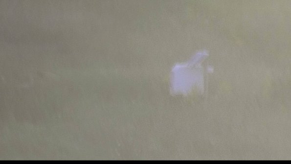 capture-4-23-08-12_20-21-47-02