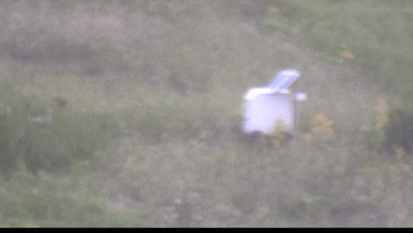 capture-4-23-08-12_20-41-47-29