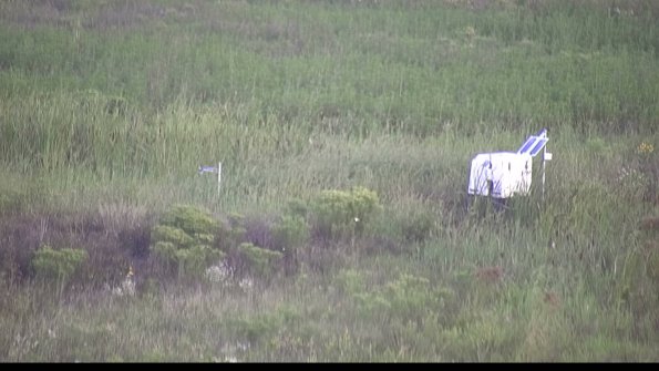 capture-5-23-08-12_07-09-29-76