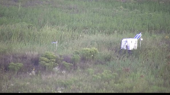 capture-5-23-08-12_07-11-29-55