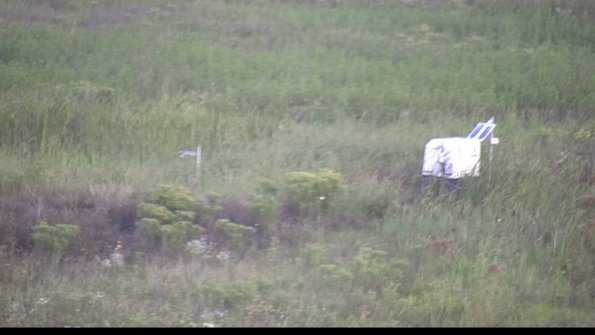 capture-5-23-08-12_07-19-29-46