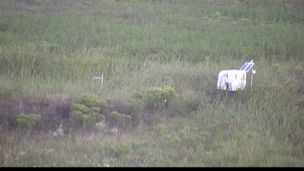 capture-5-23-08-12_07-23-29-47