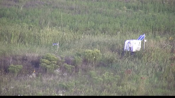 capture-5-23-08-12_07-27-29-58