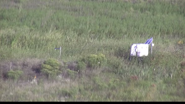 capture-5-23-08-12_08-15-29-64