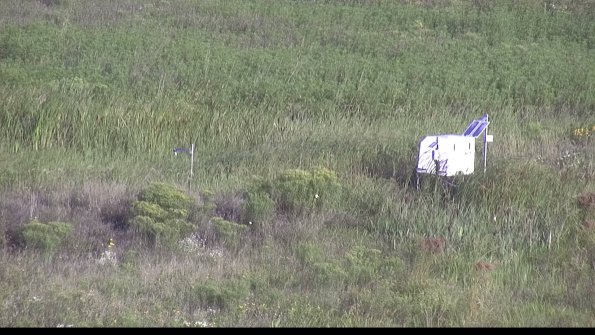 capture-5-23-08-12_08-17-29-63