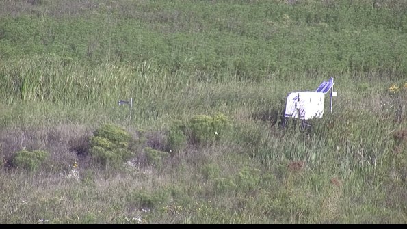 capture-5-23-08-12_08-41-29-88