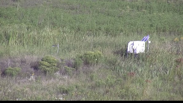 capture-5-23-08-12_08-47-30-17