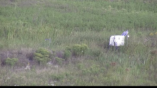 capture-5-23-08-12_08-49-29-66