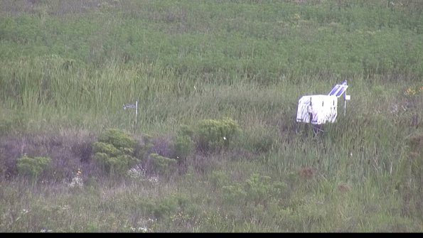 capture-5-23-08-12_08-57-29-71