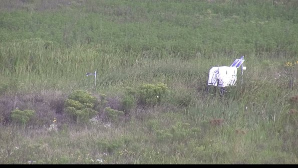 capture-5-23-08-12_09-01-29-59