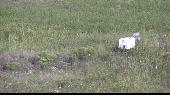 capture-5-23-08-12_09-11-29-55