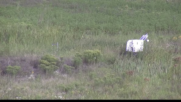 capture-5-23-08-12_09-25-29-43