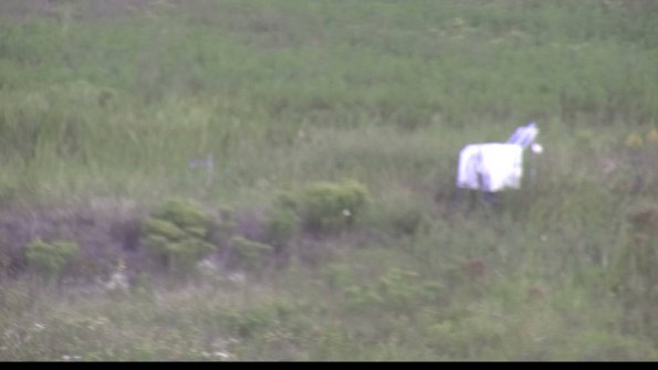 capture-5-23-08-12_09-27-29-39