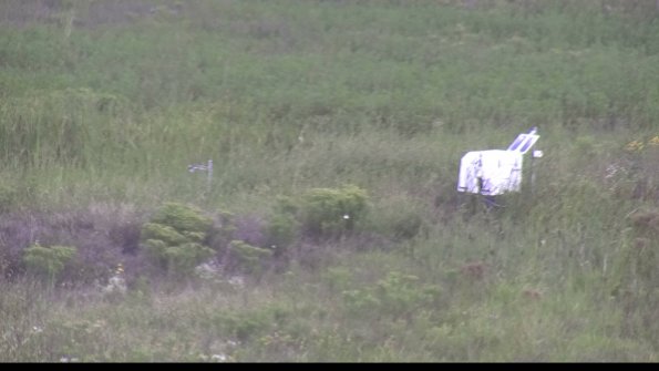 capture-5-23-08-12_09-35-29-47