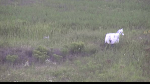 capture-5-23-08-12_09-37-29-39