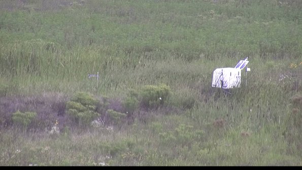 capture-5-23-08-12_09-43-29-61