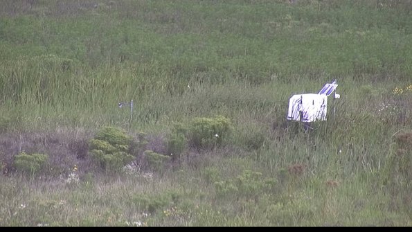 capture-5-23-08-12_09-47-29-56