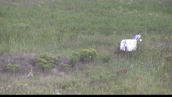 capture-5-23-08-12_10-01-29-37