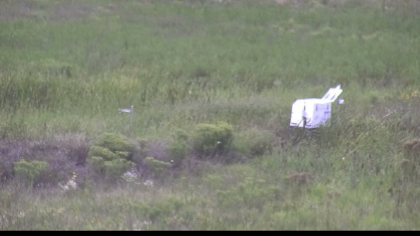 capture-5-23-08-12_14-12-02-87