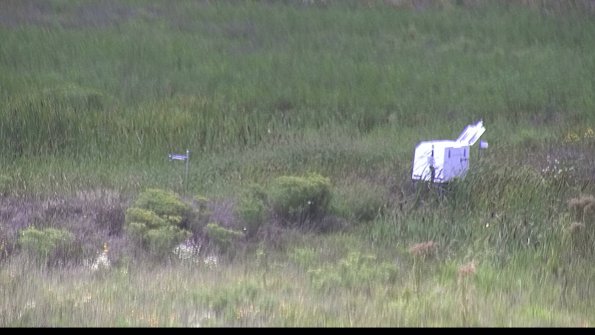 capture-5-23-08-12_14-36-02-39