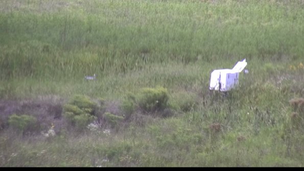 capture-5-23-08-12_14-42-02-89