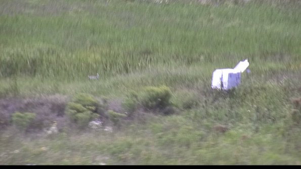 capture-5-23-08-12_14-50-03-00