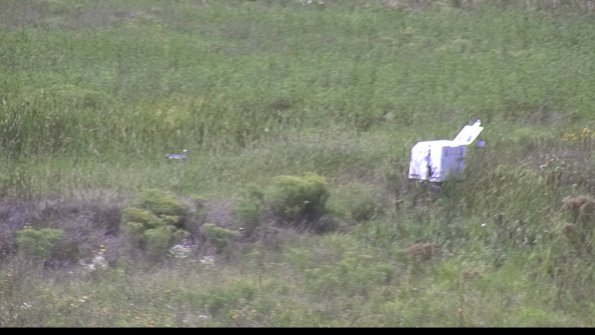 capture-5-23-08-12_14-56-02-93