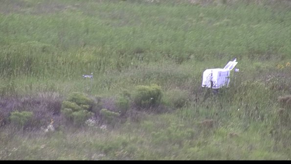 capture-5-23-08-12_15-02-02-99