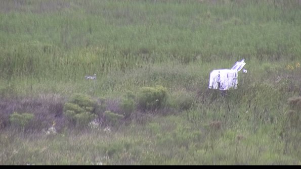 capture-5-23-08-12_15-24-03-31