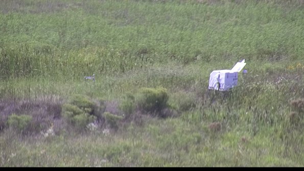 capture-5-23-08-12_15-52-03-17