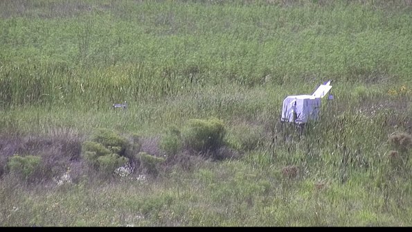 capture-5-23-08-12_16-04-02-95