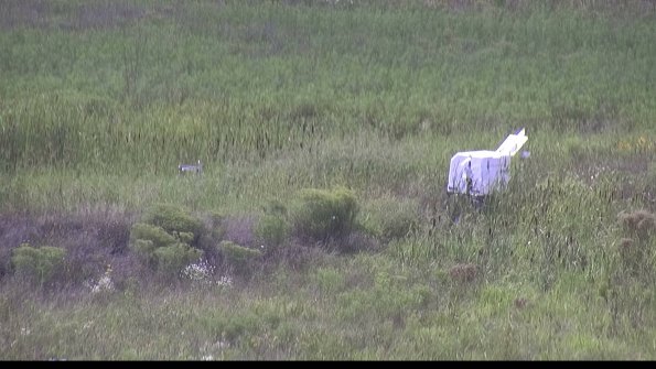 capture-5-23-08-12_16-16-03-28