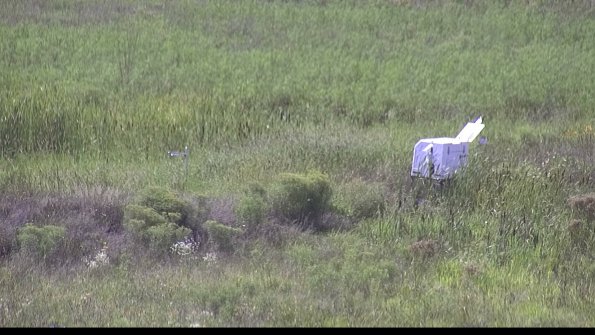 capture-5-23-08-12_16-24-12-67