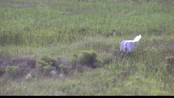 capture-5-23-08-12_16-38-02-97